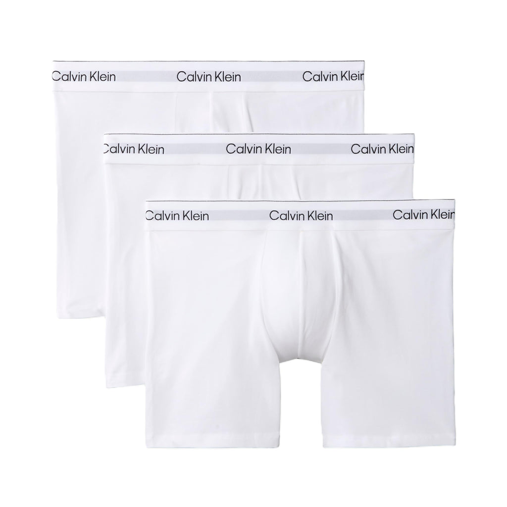 Calvin Klein Men's Boxer Brief 3-Pack (NB4394)