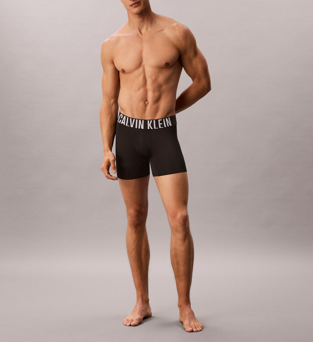 Calvin Klein Men's Boxer Brief 3-Pack (NB3612)