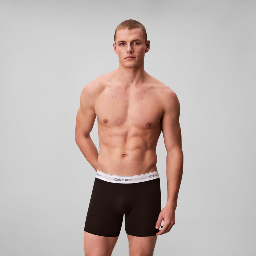 Calvin Klein Men's Boxer Brief 3-Pack (NB4394)