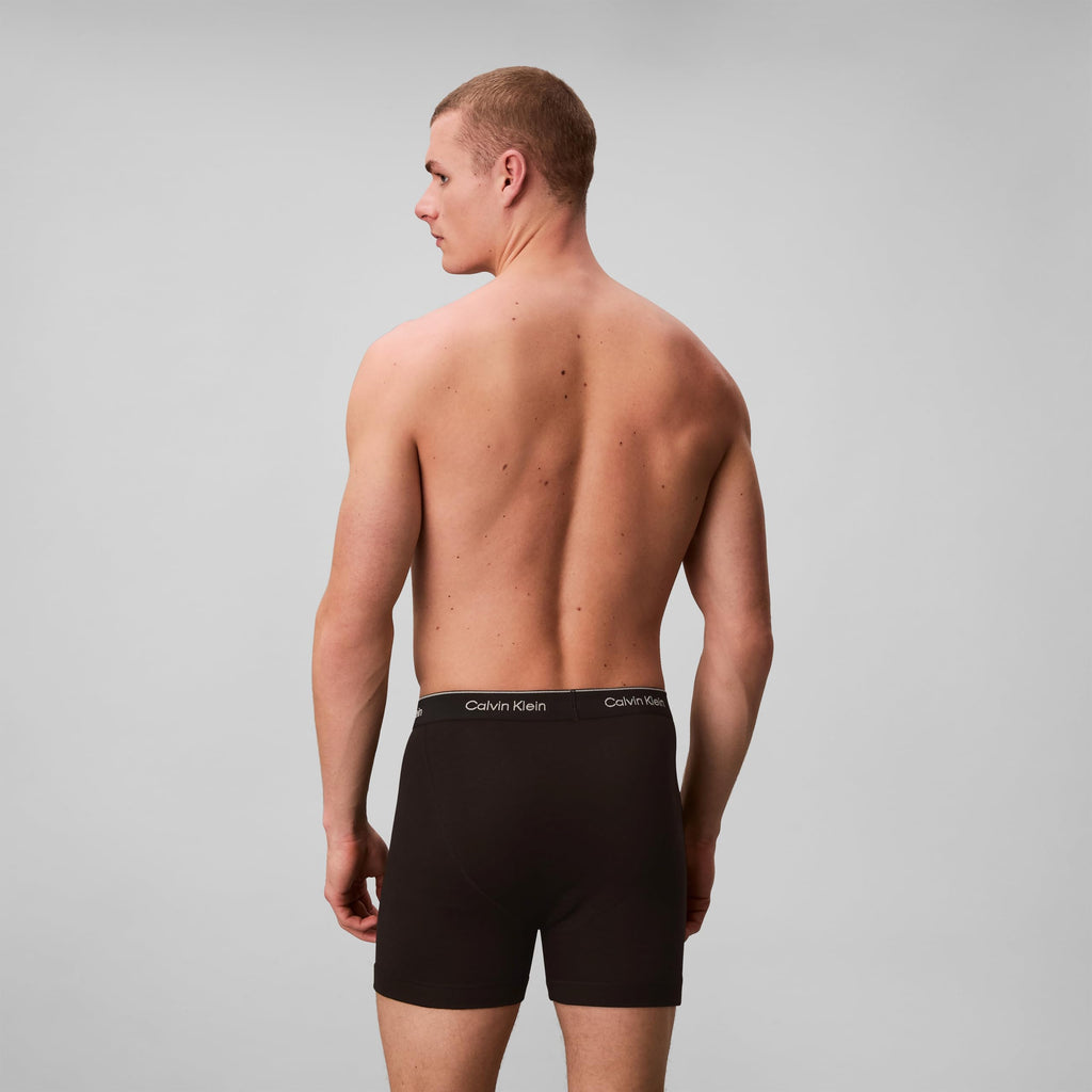 Calvin Klein Men's Boxer Brief 3-Pack (NB4003)
