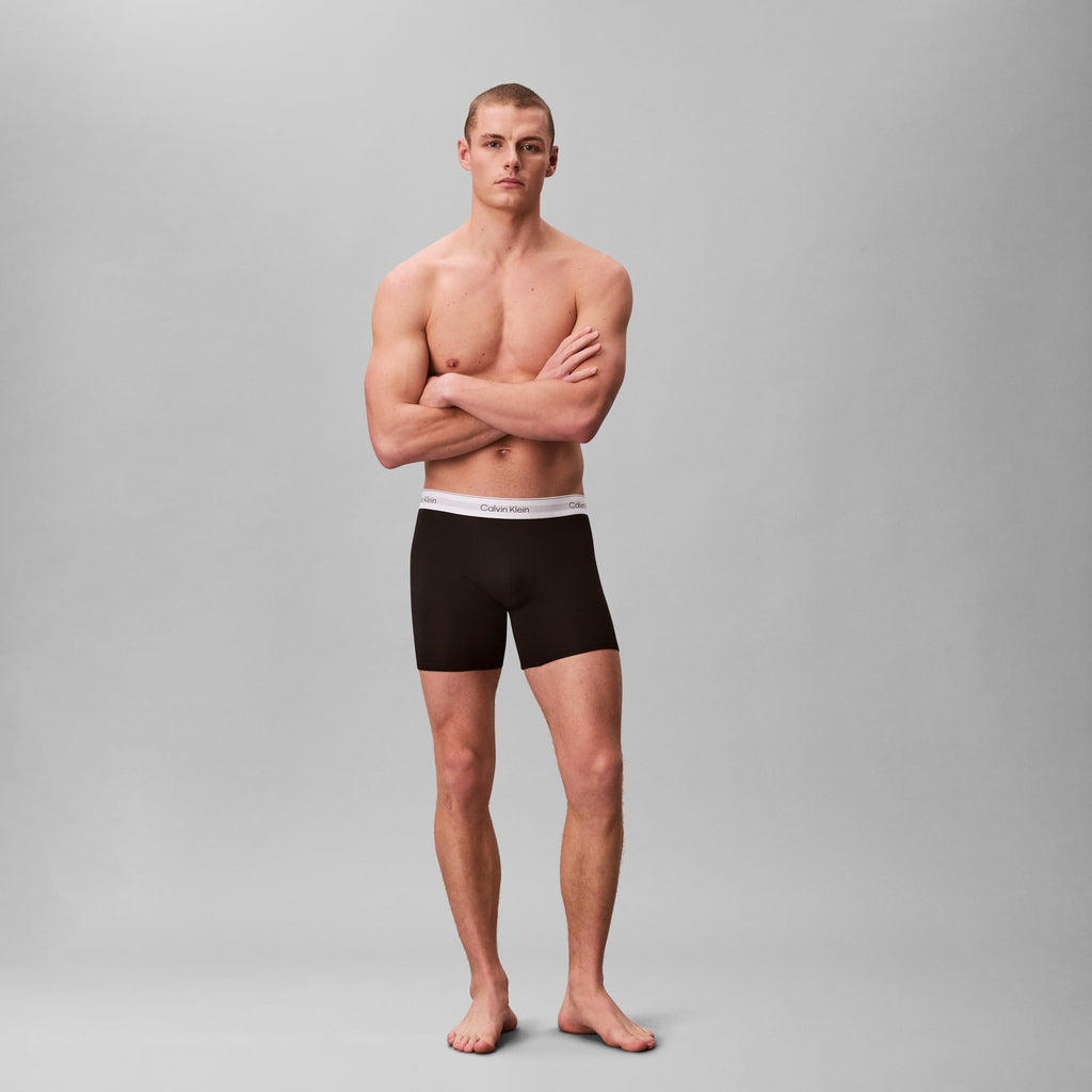Calvin Klein Men's Boxer Brief 3-Pack (NB4394)