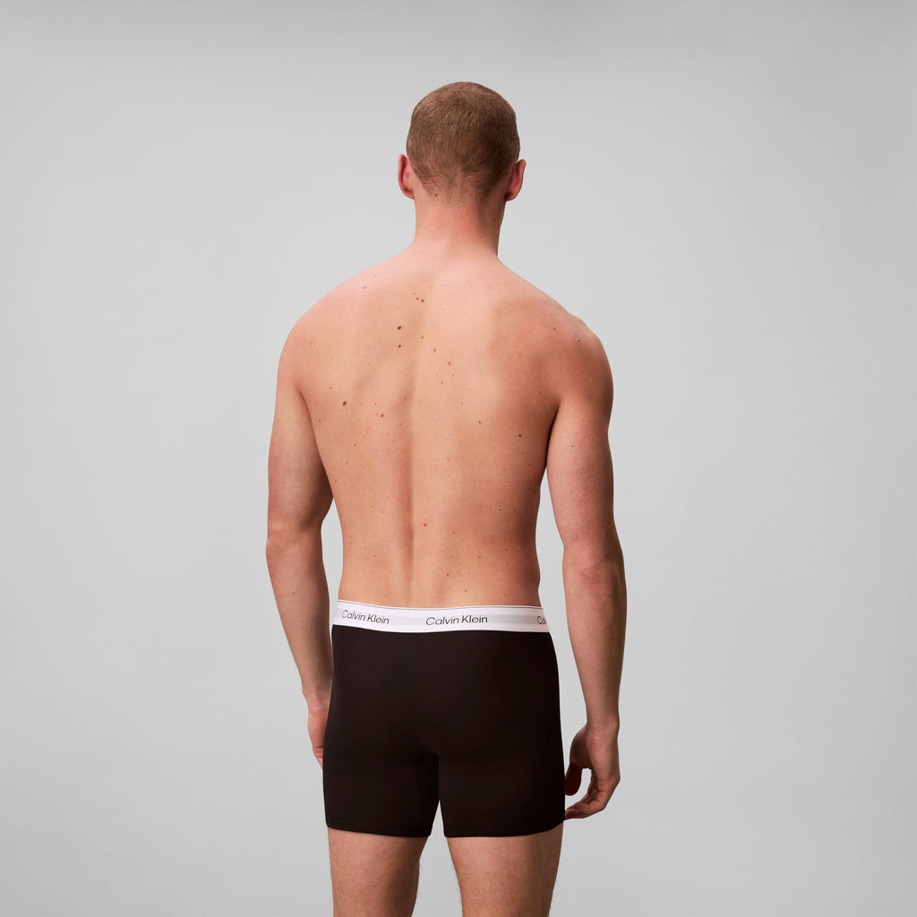 Calvin Klein Men's Boxer Brief 3-Pack (NB4394)